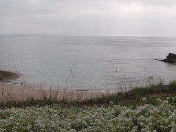 10-quiberon-9