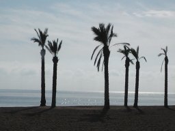 11.01.-1-roquetas